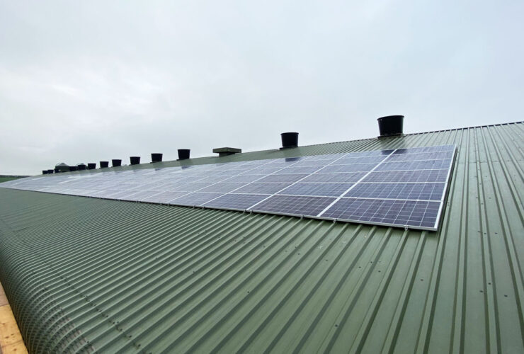 JKB Megginson and Sons Roof Solar Panels