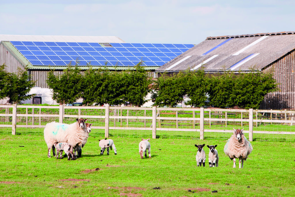 Solar Farm Roof Panels